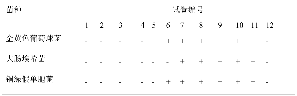 A film-coating agent for treating deep bedsore complicated with bone infection and preparation method thereof