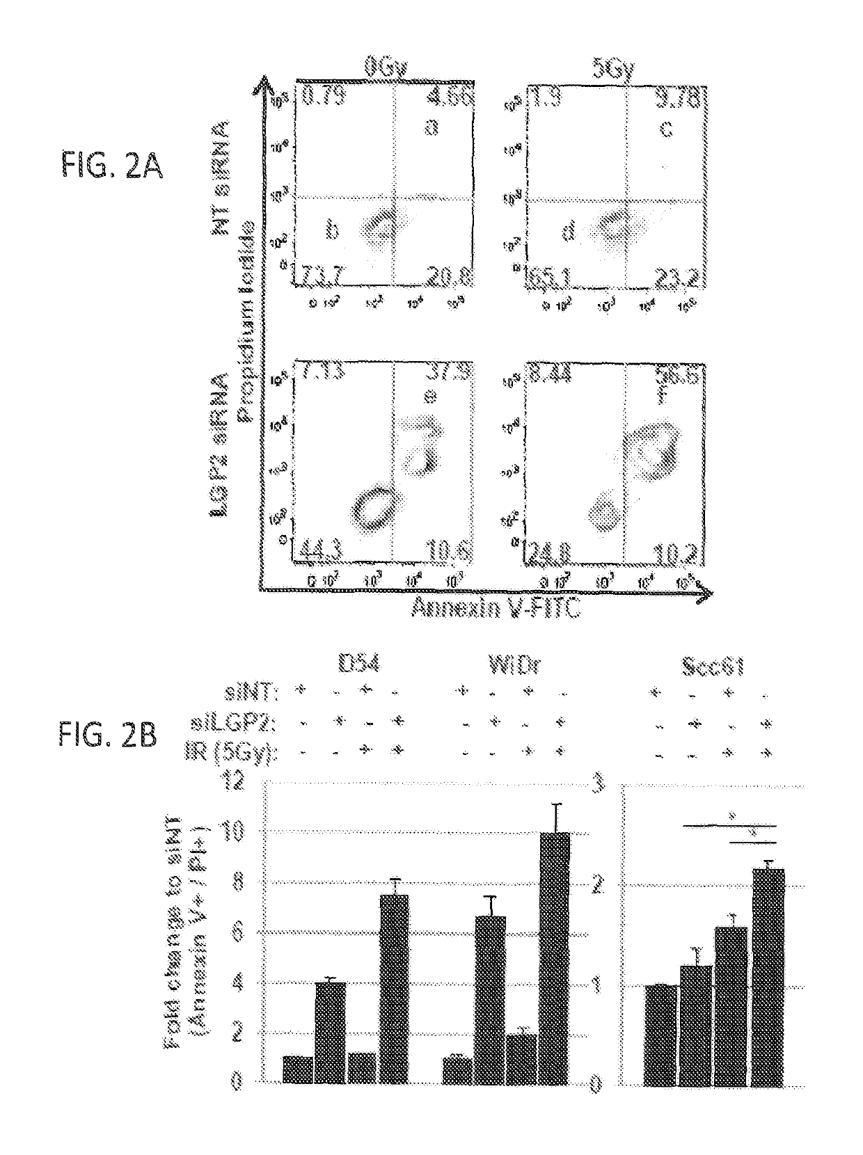 Anti-tumor therapy