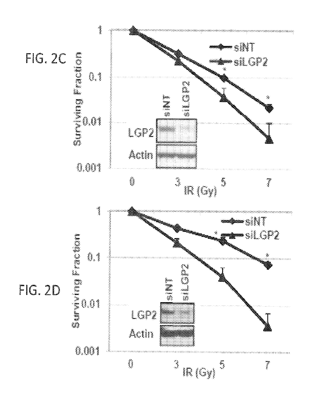 Anti-tumor therapy