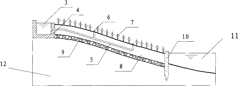 Ecological riparian zone combining river purification and slide slope greenbelt conservation