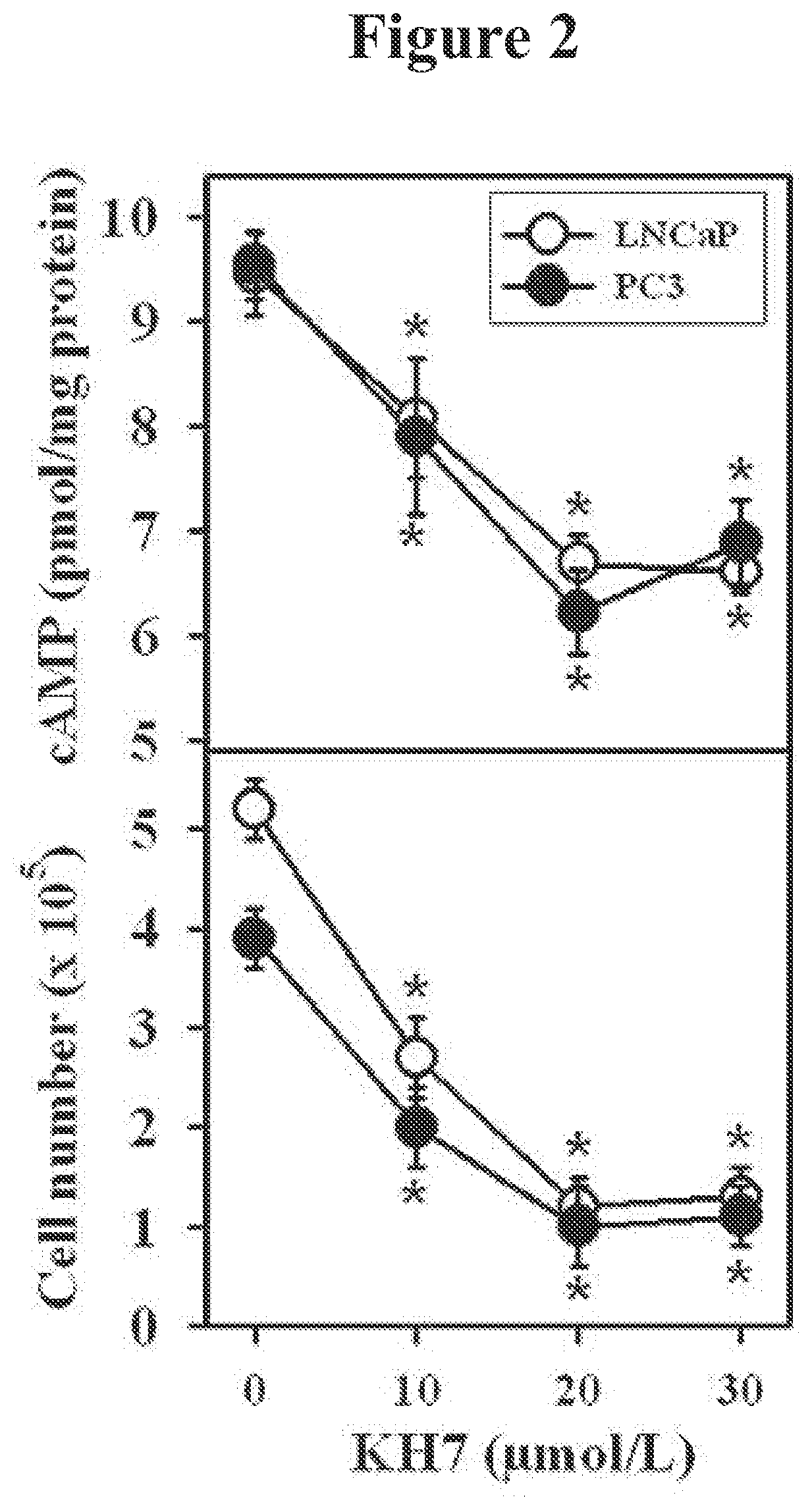 Methods for diagnosing and treating prostate cancer