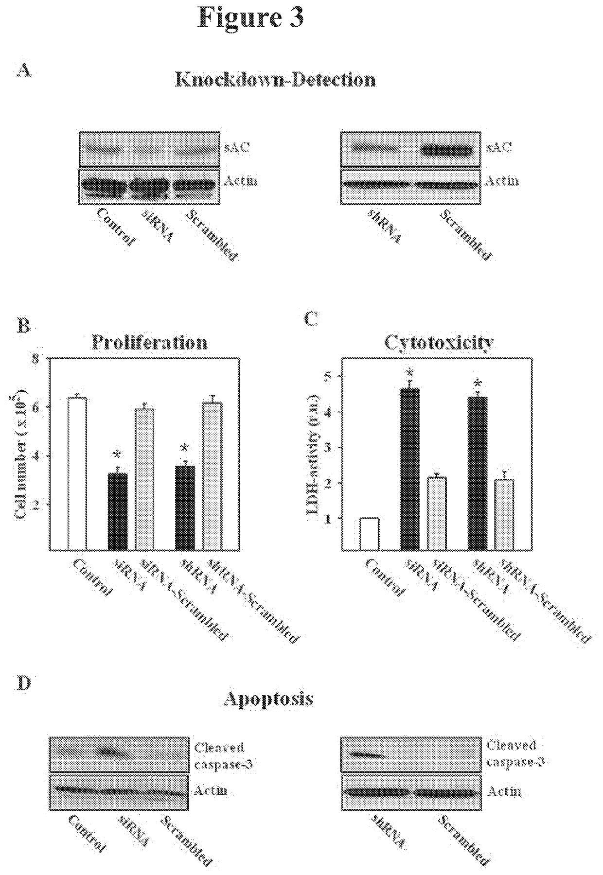 Methods for diagnosing and treating prostate cancer