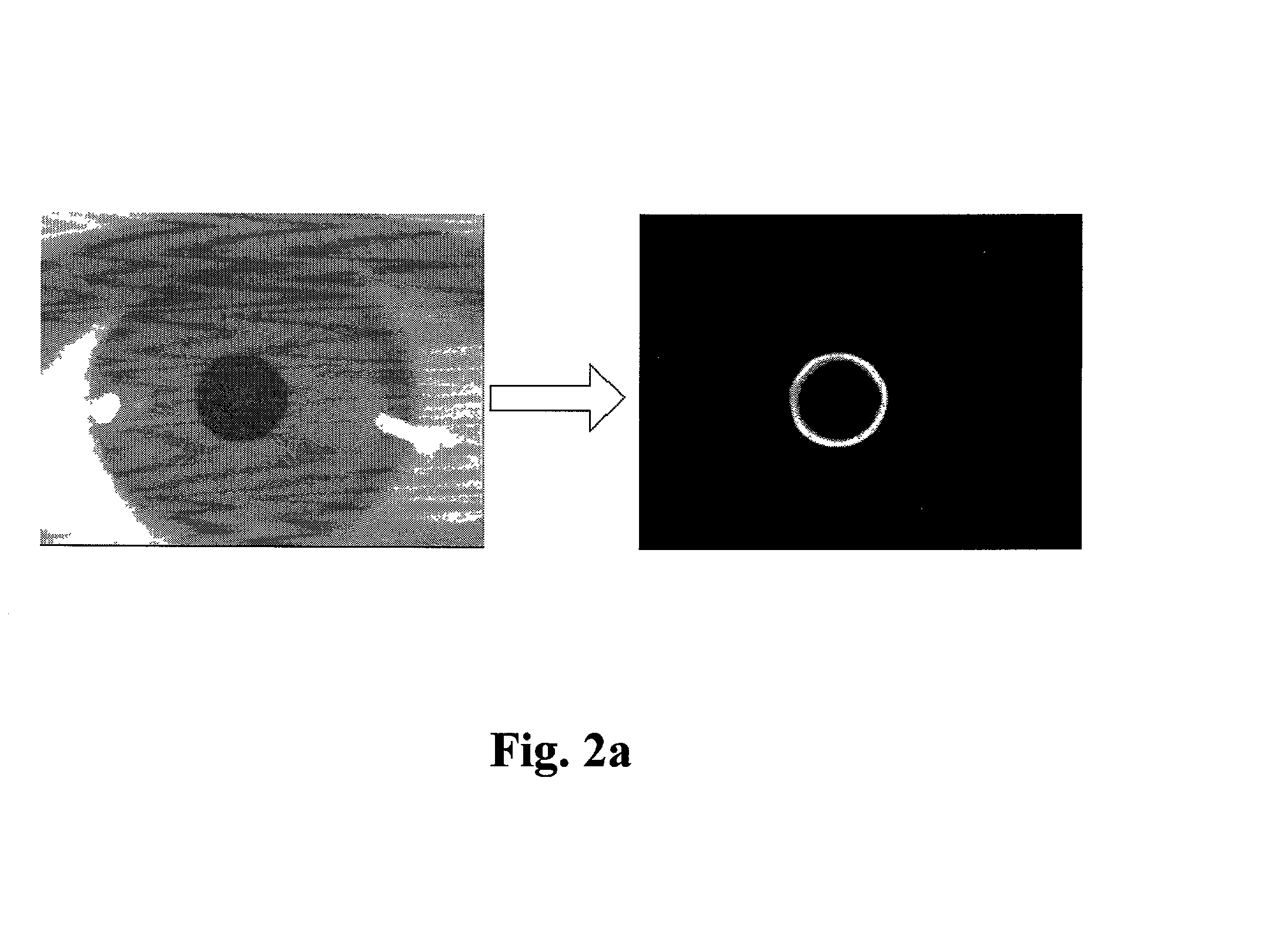 Non-contact type human iris recognition method for correcting a rotated iris image