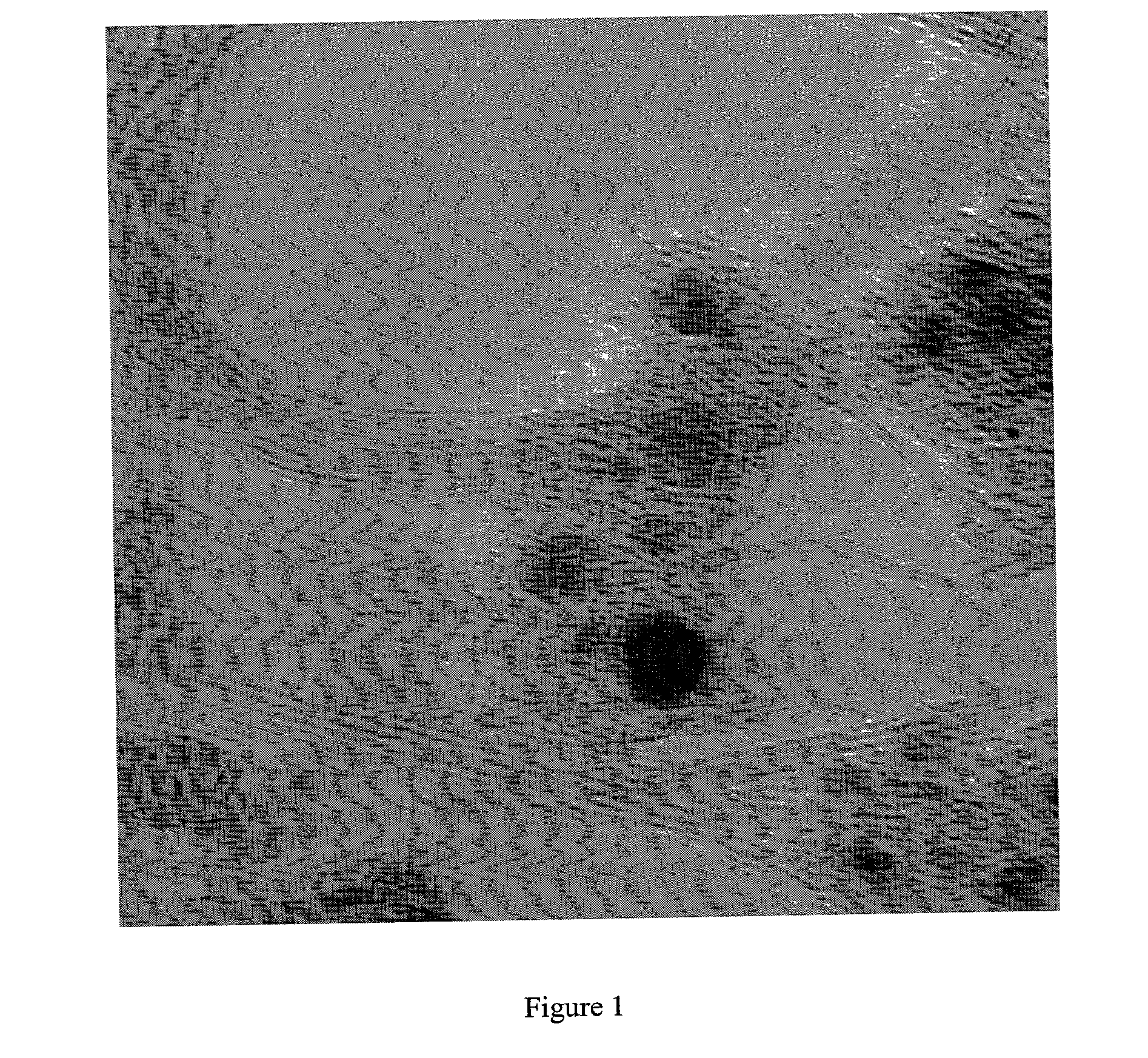 Process for purifying single-wall carbon nanotubes and compositions thereof