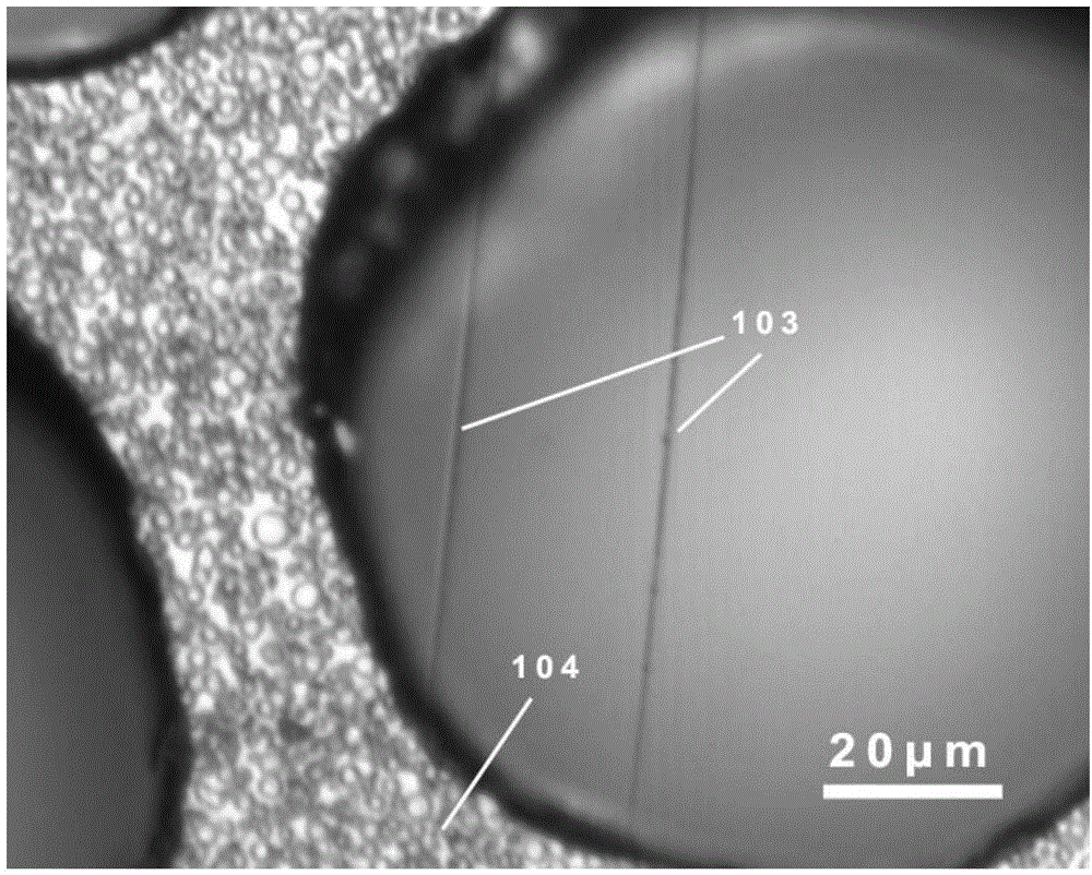 Local positioning method of one-dimensional material