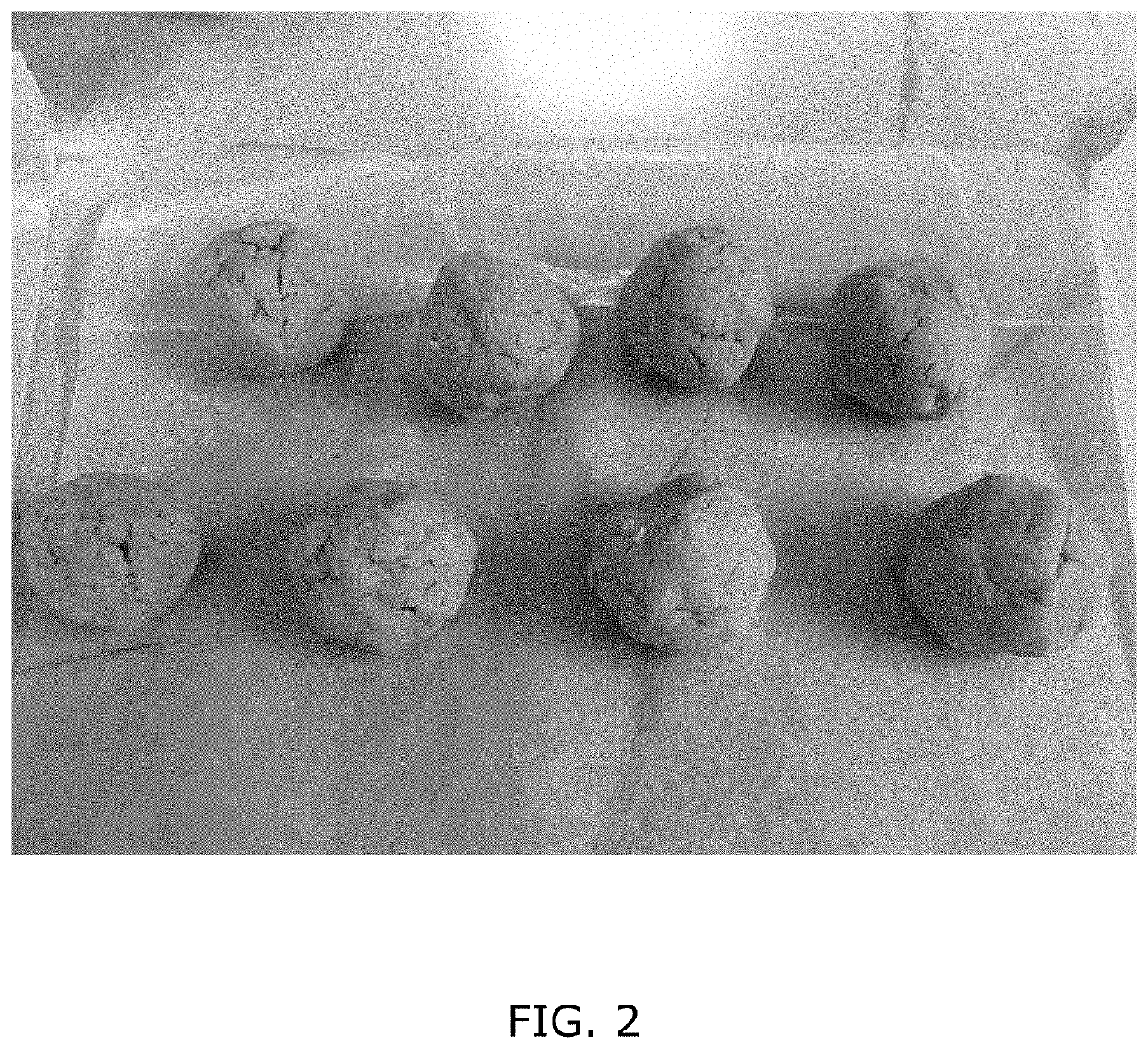 Protein Compositions for Plant-Based Food Products and Methods for Making