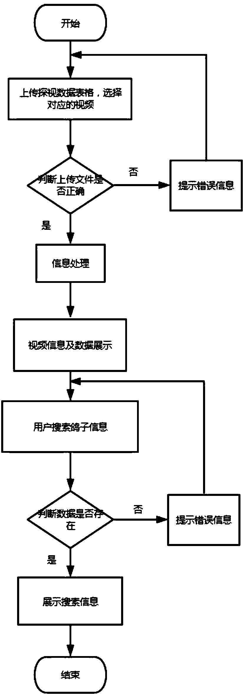 Homing pigeon video visiting system and method