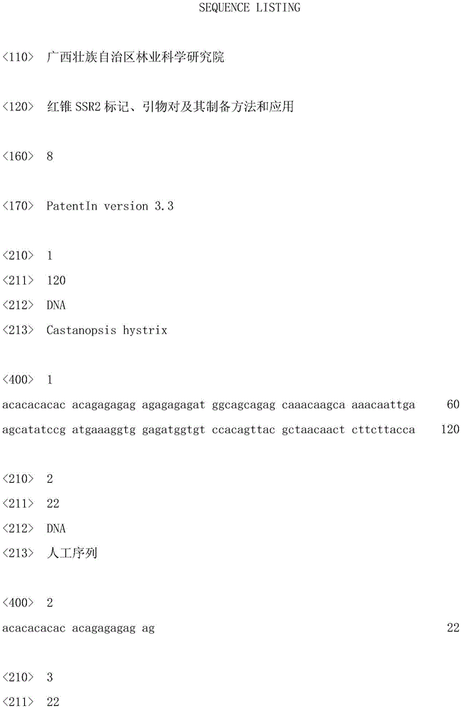 Red cone ssr2 marker, primer pair, preparation method and application thereof