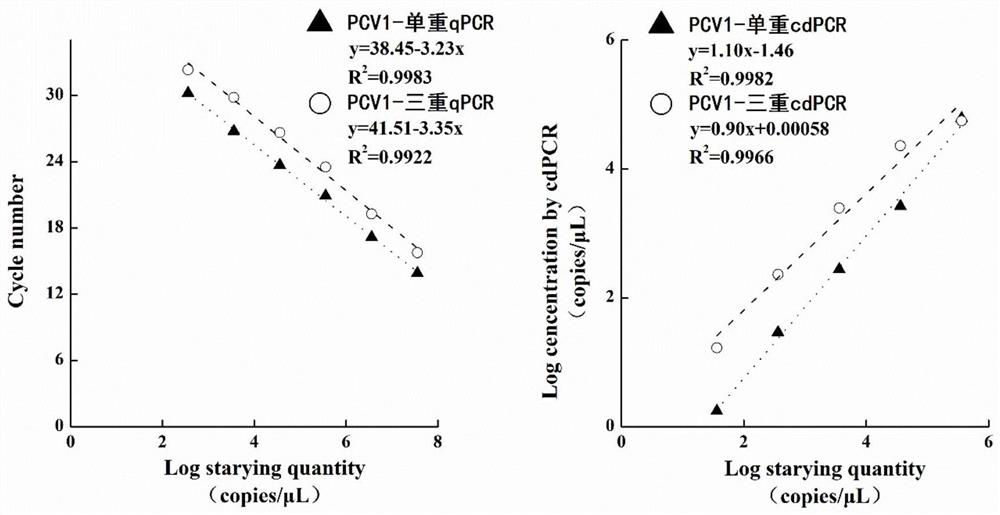 Method, primer, probe and kit for detecting porcine circovirus through triple digital microdroplet PCR