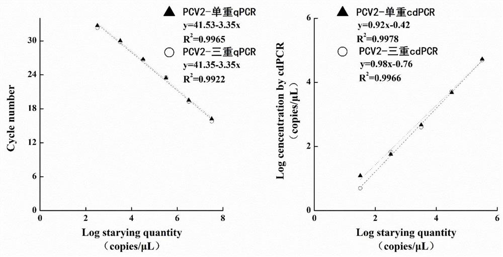 Method, primer, probe and kit for detecting porcine circovirus through triple digital microdroplet PCR