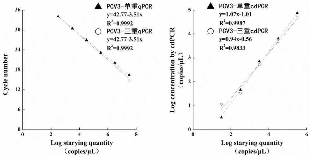 Method, primer, probe and kit for detecting porcine circovirus through triple digital microdroplet PCR