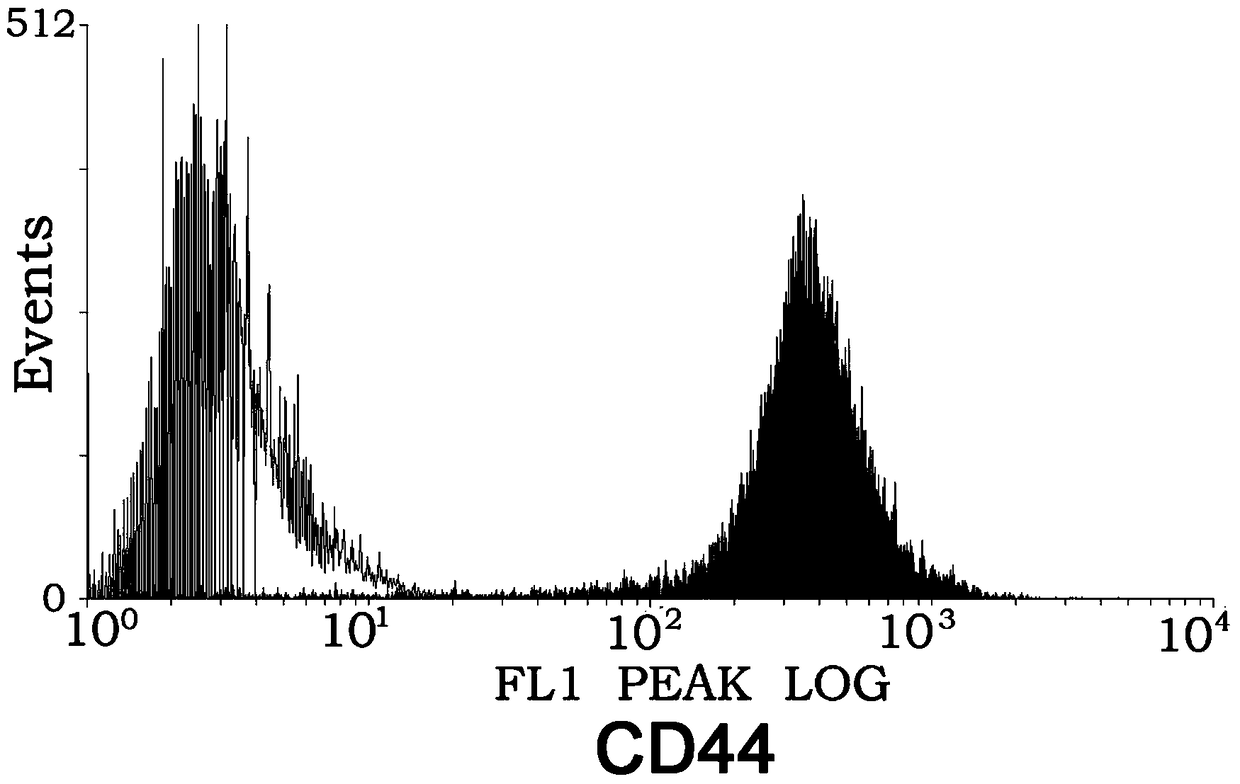 Method for enhancing chemotactic ability of mesenchymal stem cells and expression of chemokine ccl5