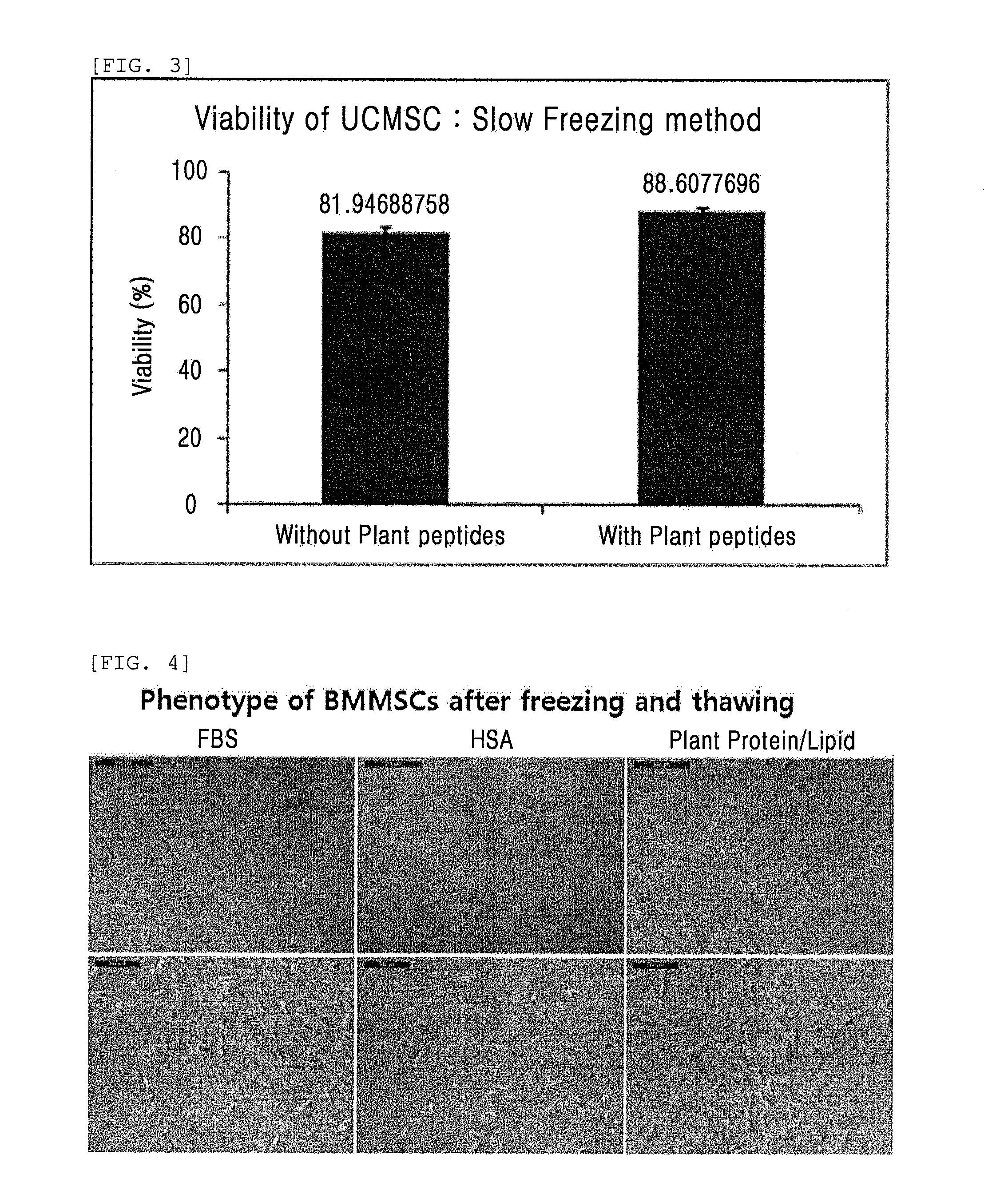 Composition comprising plant-derived recombinant human serum albumin, lipids, and plant protein hydrolysates as active ingredients for cryopreservation of stem cells or primary cells