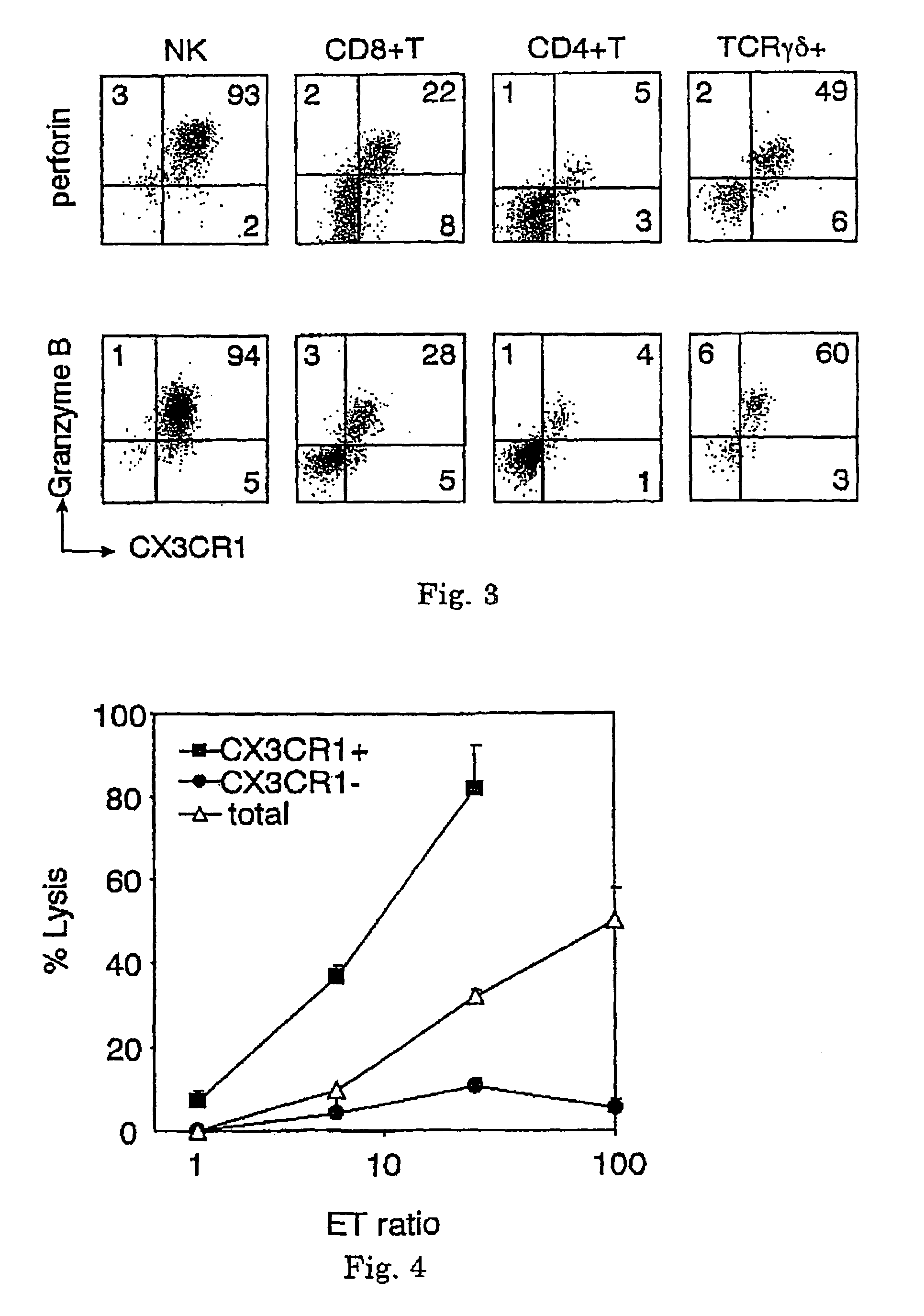 Uses of anti-CX3CR1 antibody, anti-fractalkine antibody and fractalkine