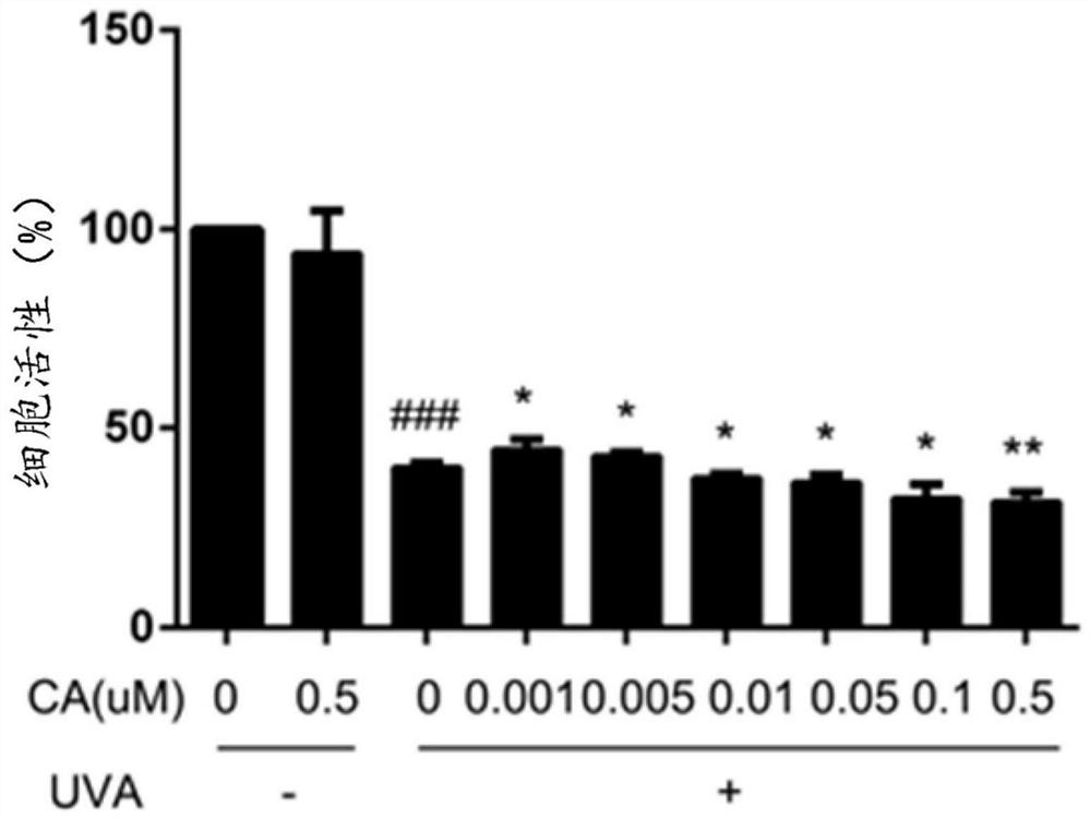 Application of carnosic acid in preparation of anti-photoaging product