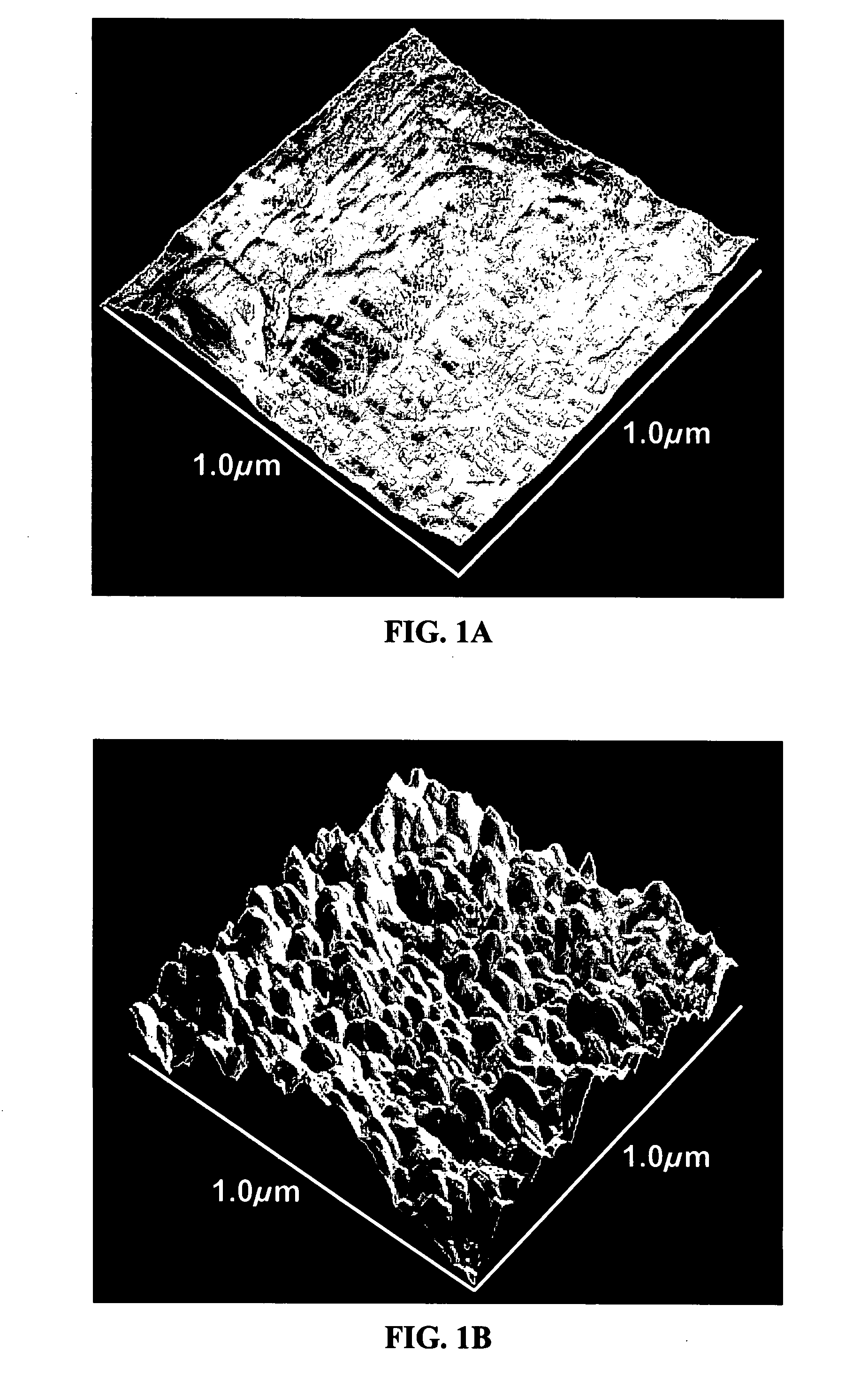 Hydroxyapatite coated nanostructured titanium surfaces