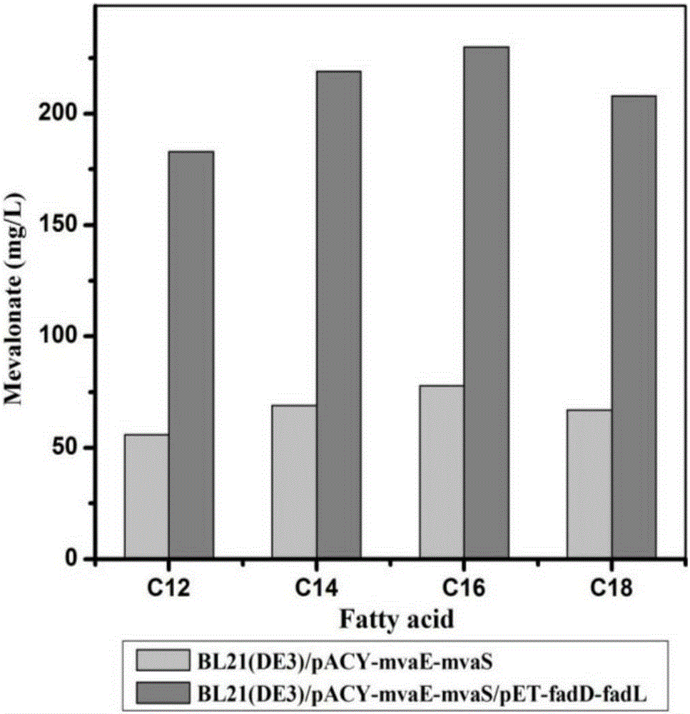 A method for efficiently utilizing fatty acids to produce mevalonate and the constructed genetically engineered bacteria