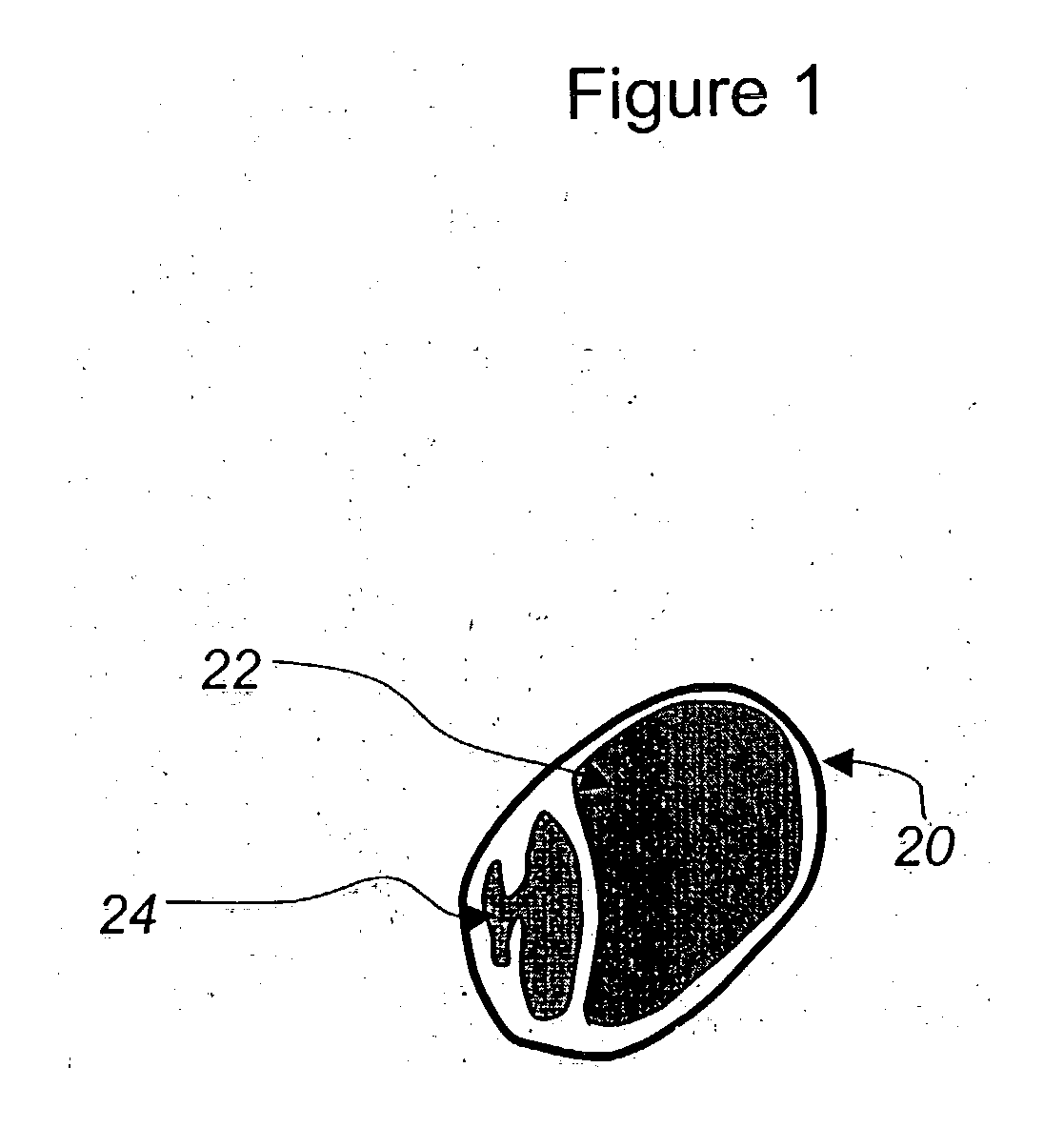 Agricultural seed having protective coatings