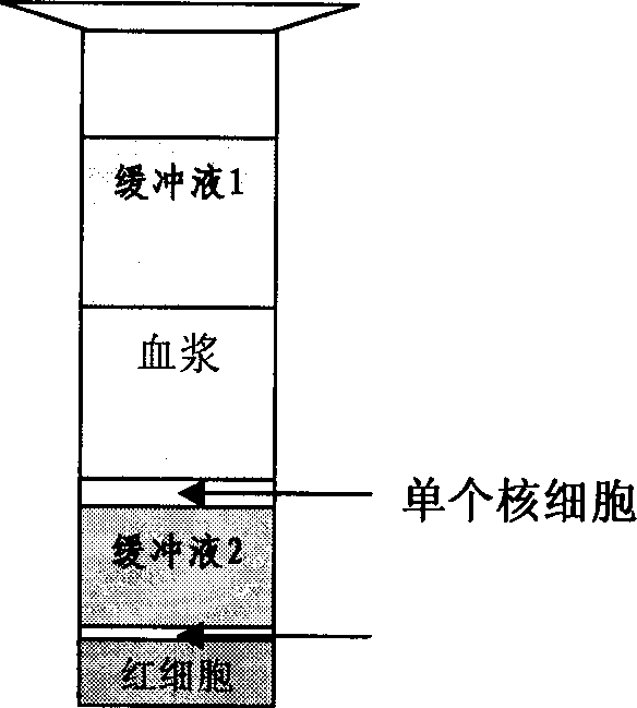 Method for separating cell and special separating liquid for cell