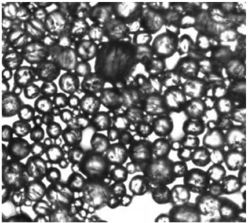 Method for preparing superhydrophobic spherical ADN (ammonium dinitramide) based on interfacial tension