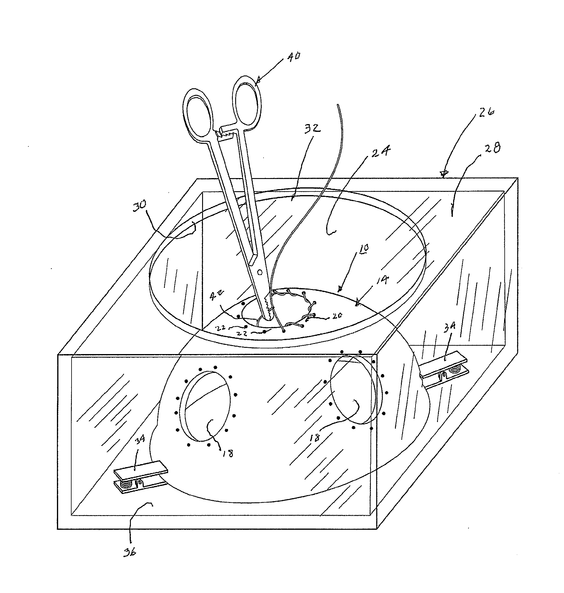 Suture training device