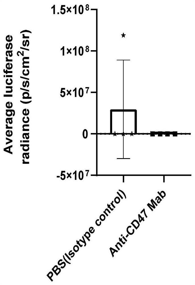 Application of anti-CD47 monoclonal antibody to medicines used for treating acute lymphocytic leukemia cells with amycin resistance