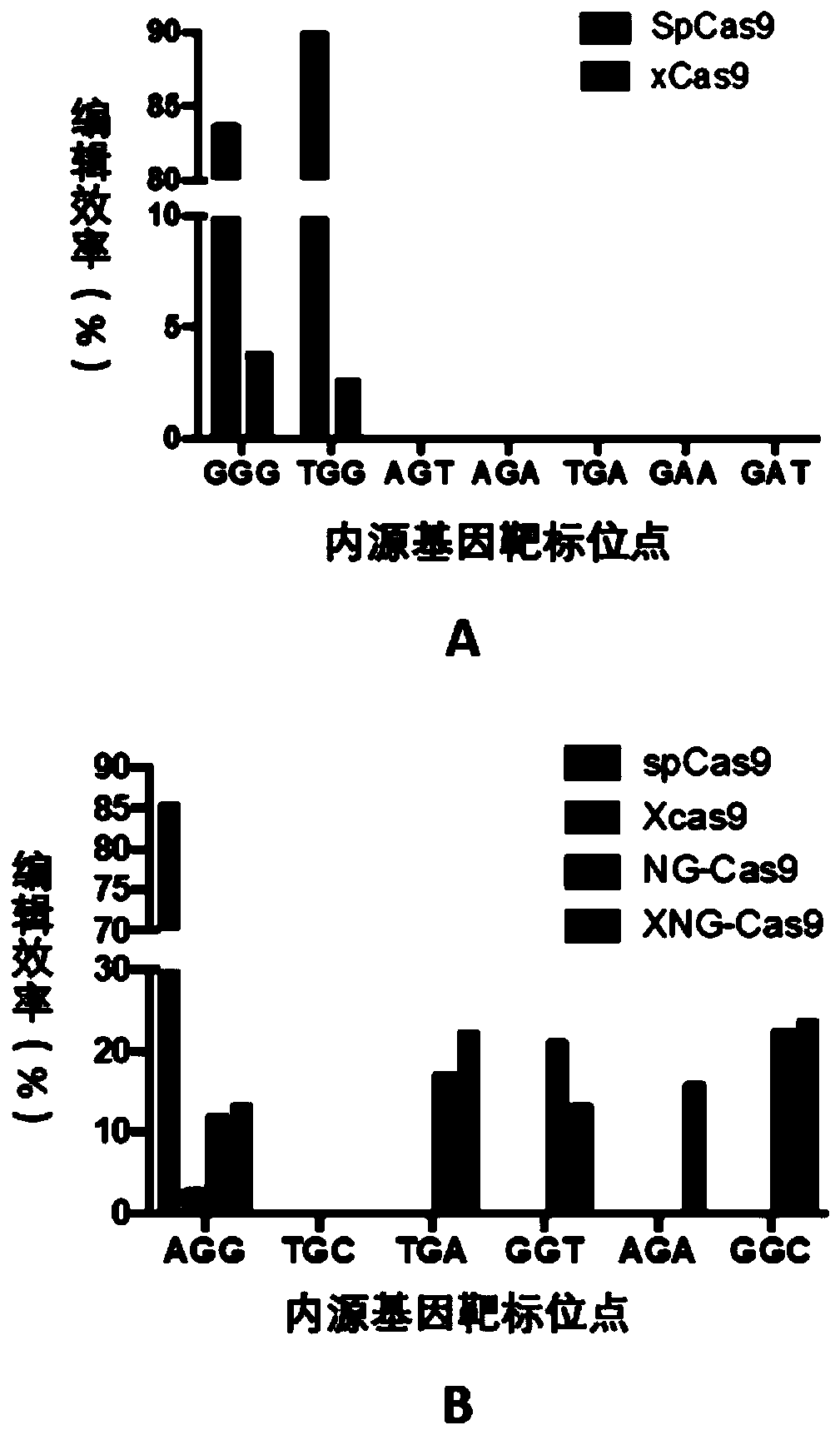 Novel DNA (deoxyribonucleic acid) nucleic acid cleaving enzyme and application thereof