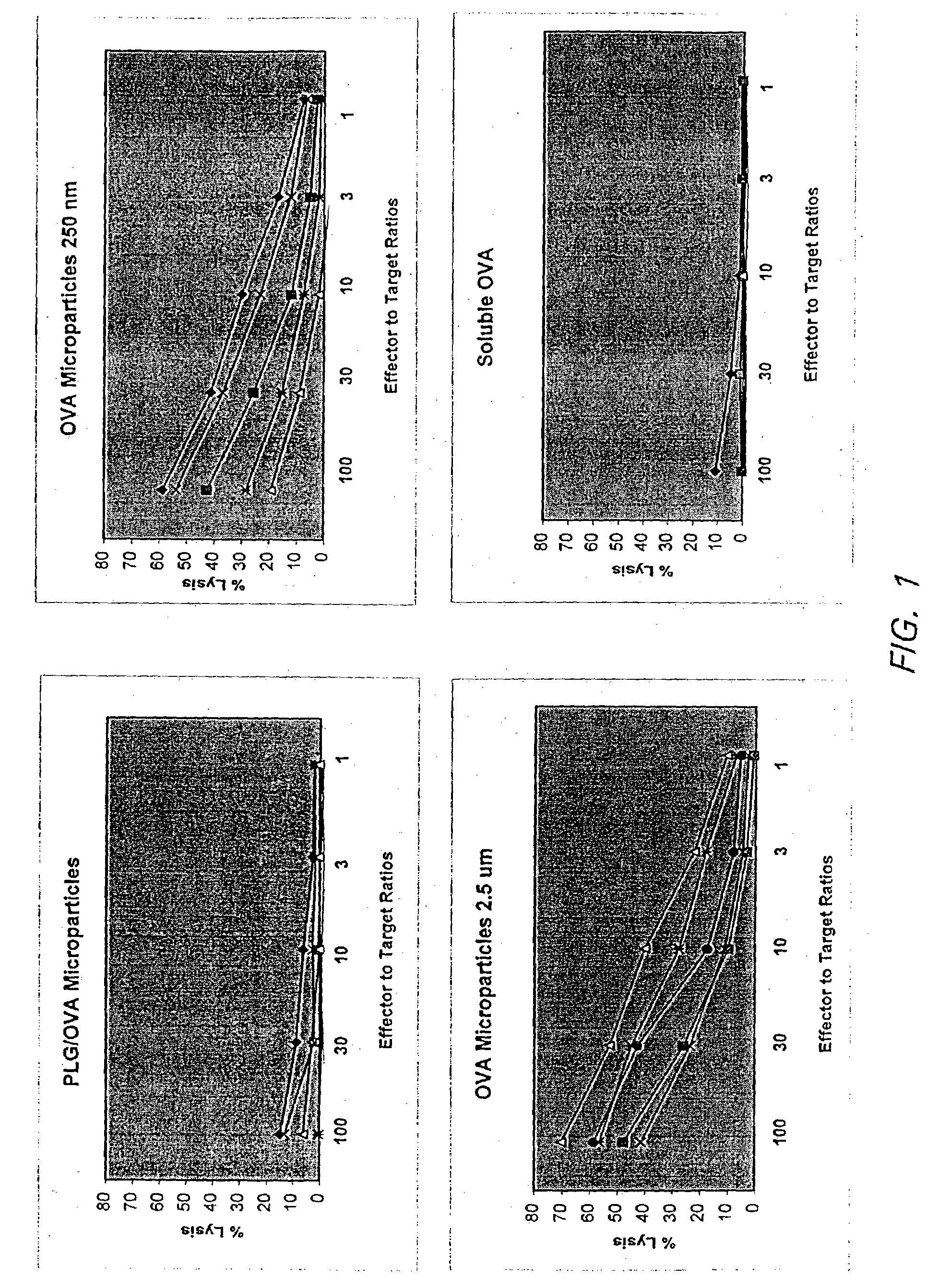 Method of obtaining cellular immune responses from proteins
