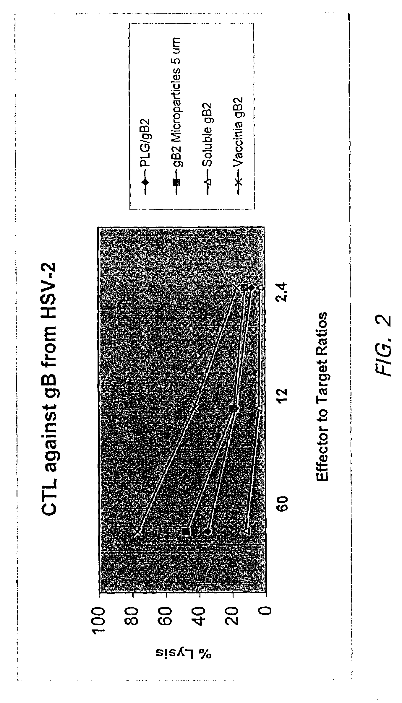 Method of obtaining cellular immune responses from proteins