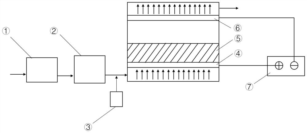 Drinking water advanced treatment system based on carbon nanotube-based electrochemical filter membrane