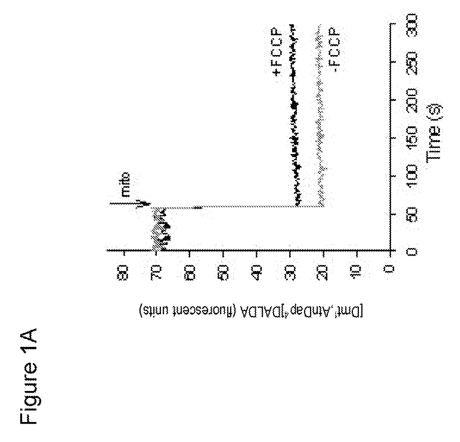 Methods for preventing mitochondrial permeability transition