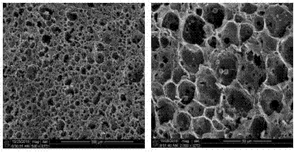 Nano-hydroxyapatite/carboxymethyl chitosan/poly(lactic-co-glycolic acid) micro-nano hybrid drug-loaded scaffold and bionic preparation method thereof
