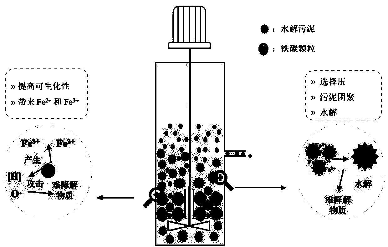 Technology for pretreating degradation-resistant sewage by coupling iron carbon and hydrolyzed granular sludge