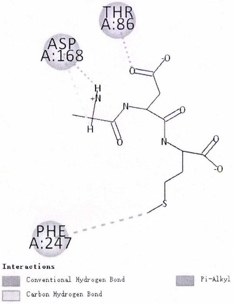 Two Active Peptides with Bitter Taste Inhibition