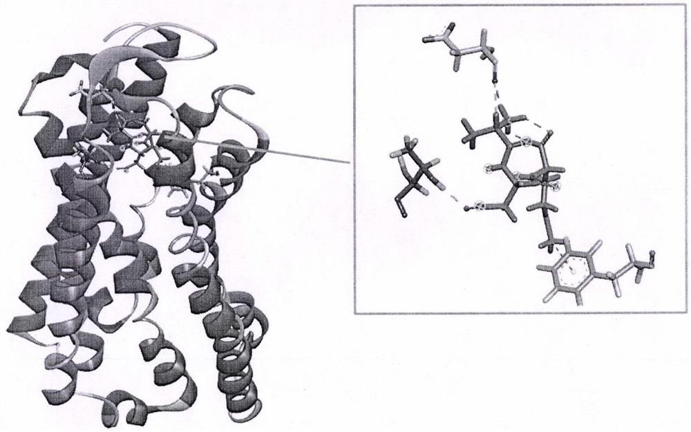 Two Active Peptides with Bitter Taste Inhibition