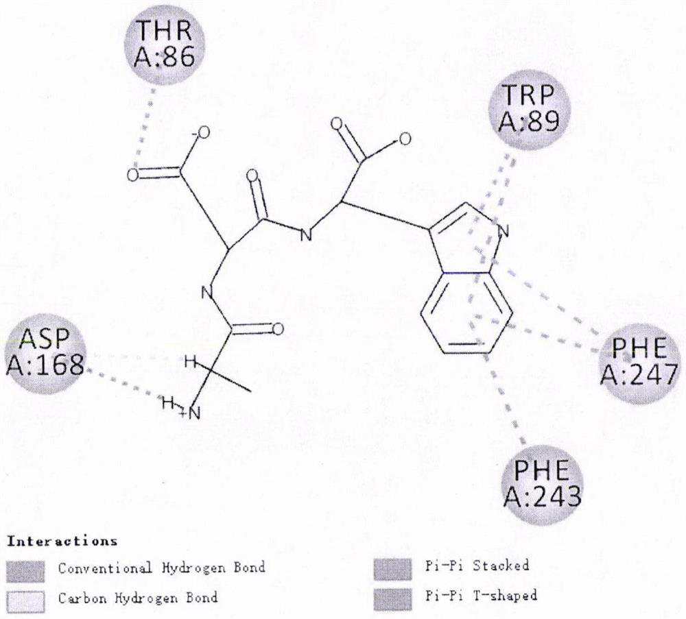 Two Active Peptides with Bitter Taste Inhibition