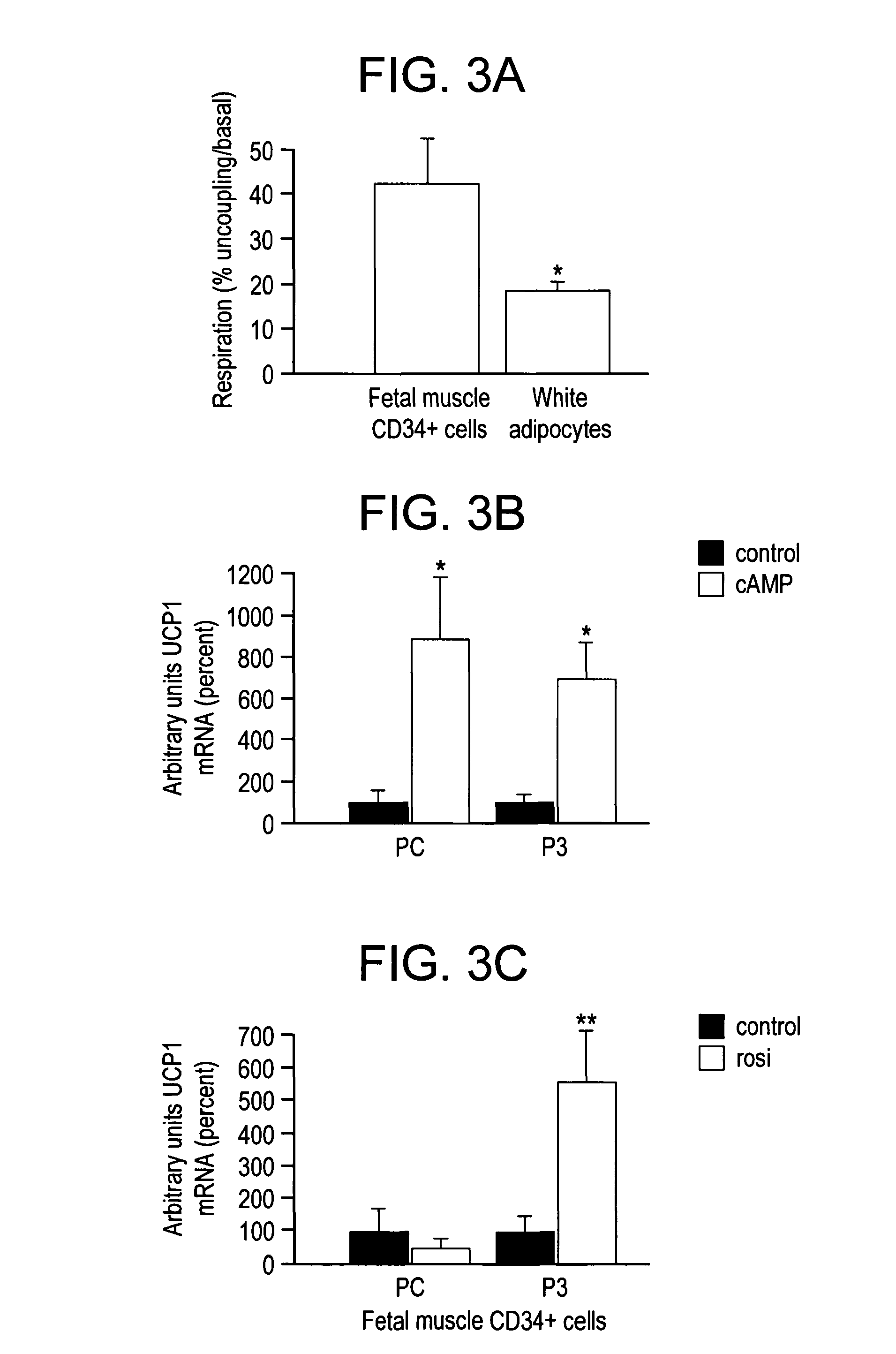 Brown adipocyte progenitors in human skeletal muscle and methods for identifying differentiation agents therefor
