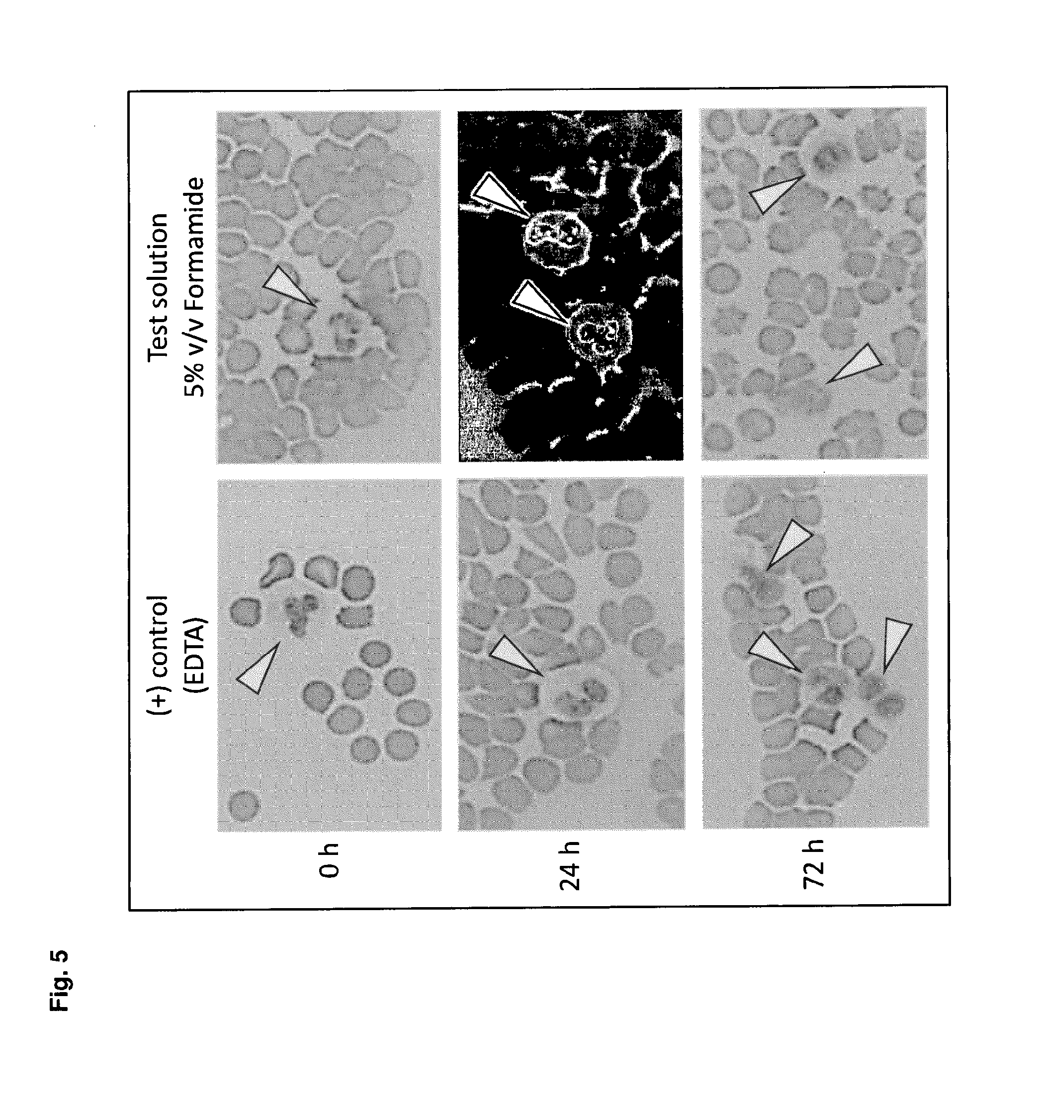 Stabilisation of biological samples