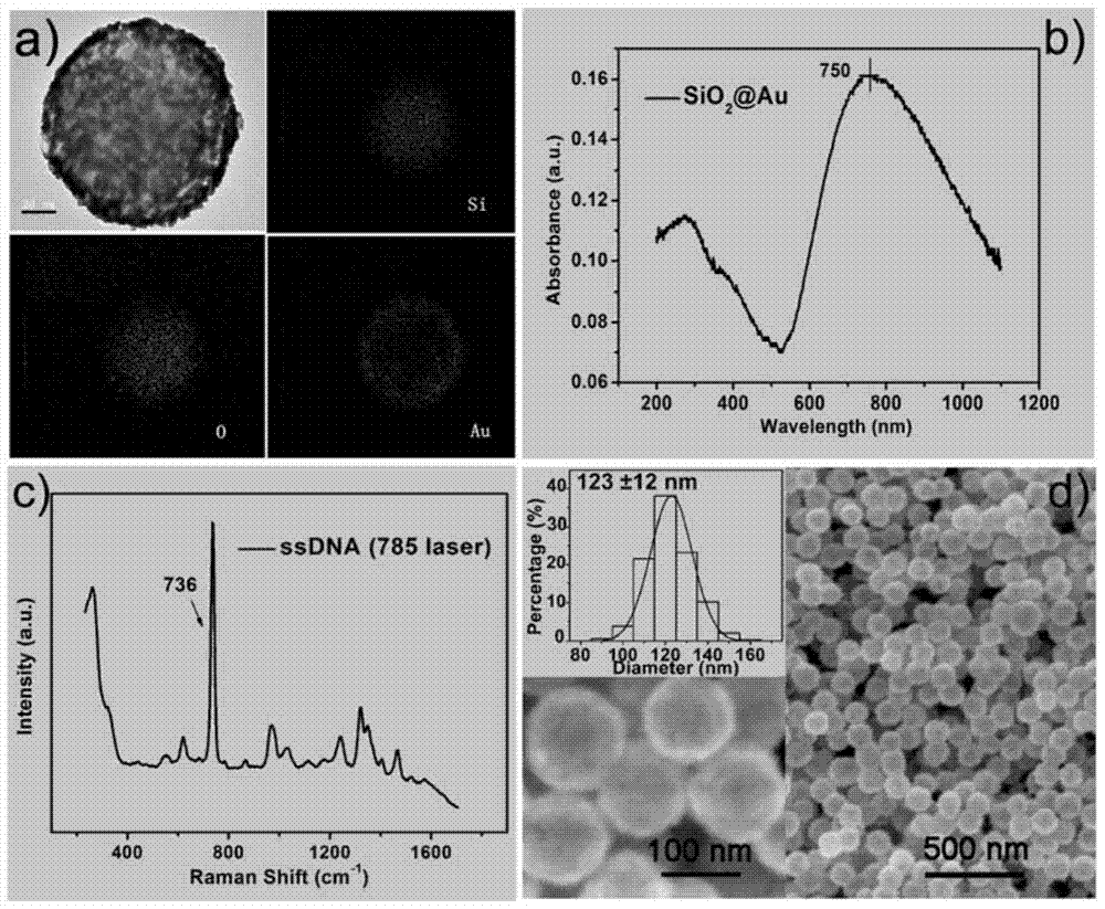 A method for the detection of low-concentration mercury ions based on a DNA-modified SERS substrate