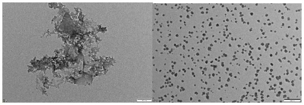 Fluorescent probe for detecting zinc ions as well as preparation method and application of fluorescent probe