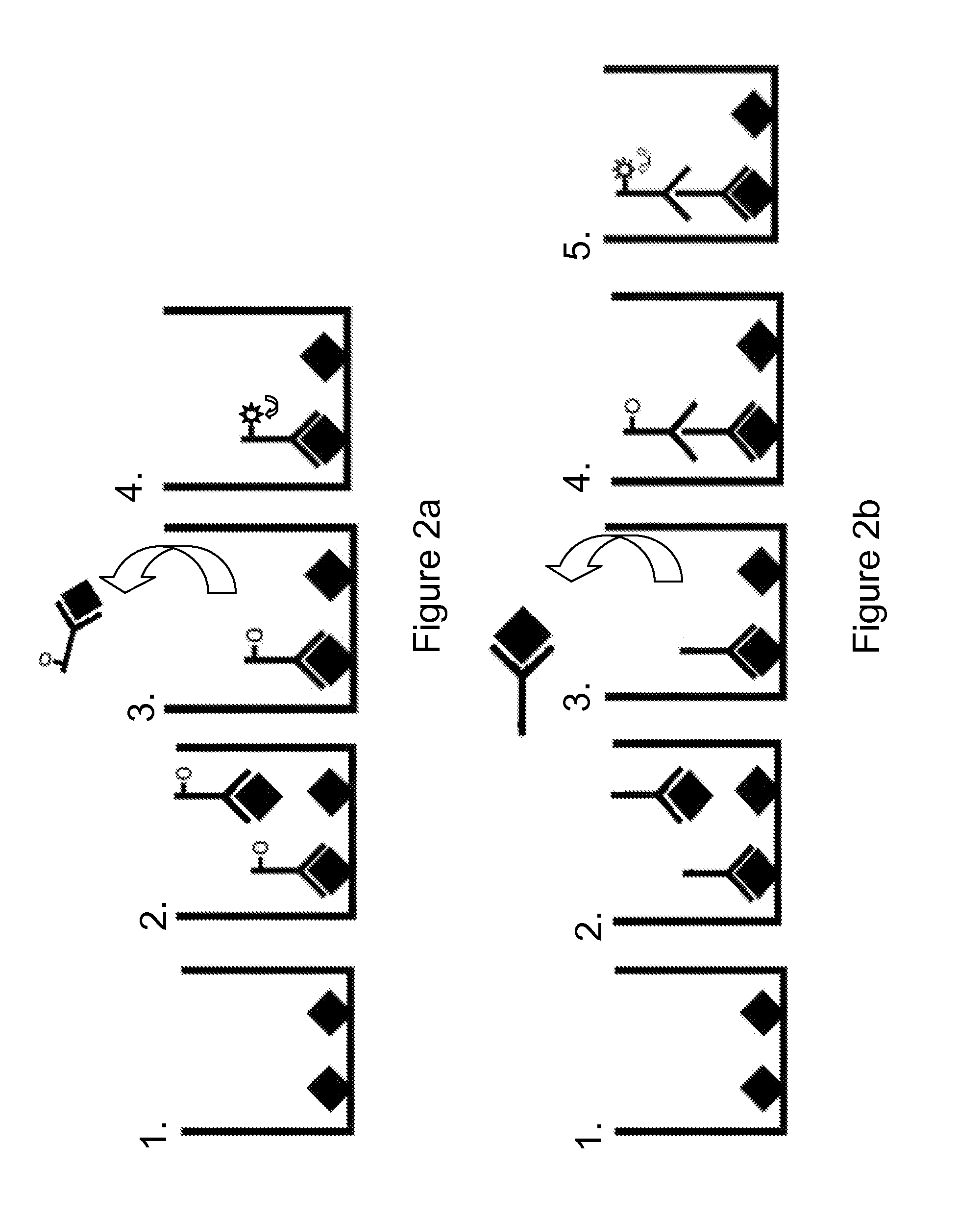 Compositions and methods for the rapid growth and detection of microorganisms