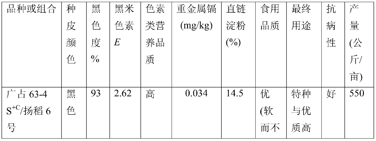 Method for breeding colored rice two-line hybrid rice