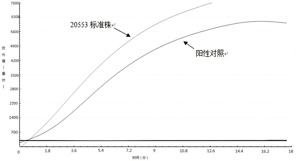 Primer and probe sequence for fluorescence RAA detection of vibrio parahaemolyticus and application thereof