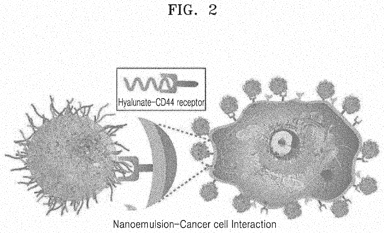 Hydrogel-based nanoenulsion for selectively labeling cancer lesion, and preparation method therefor