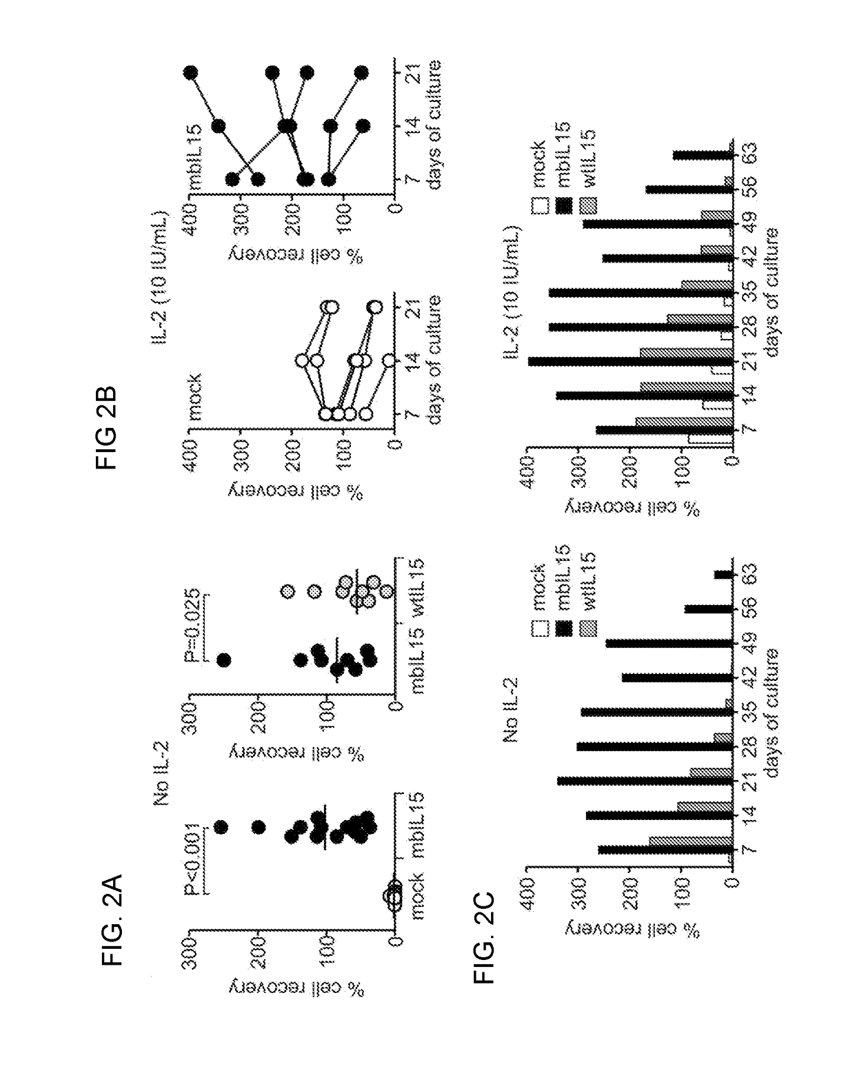 Modified Natural Killer Cells and Uses Thereof