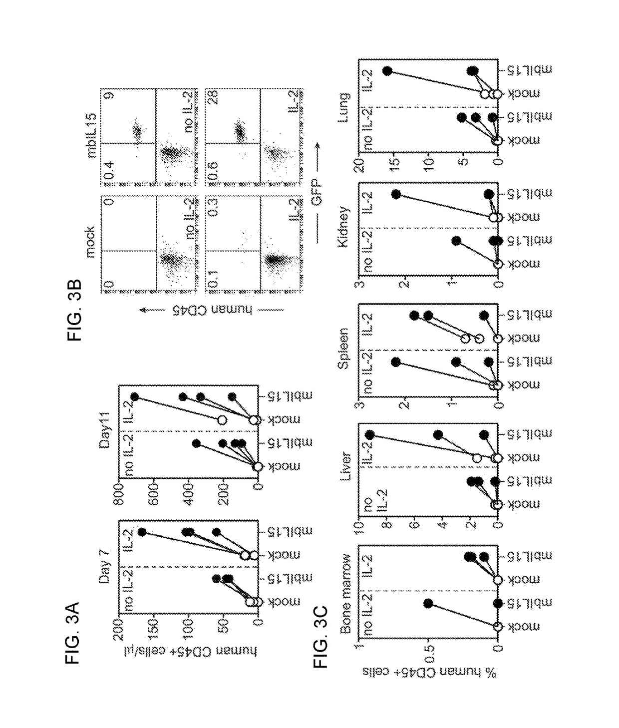 Modified Natural Killer Cells and Uses Thereof