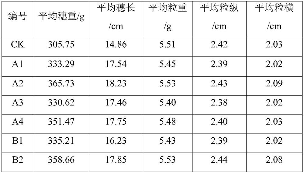 Trichoderma harzianum solid fermentation method, solid fermentation product, Trichoderma harzianum fungal agent, preparation method and application thereof