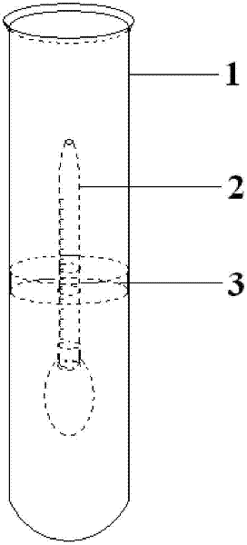 Device for presenting fermentation experiment