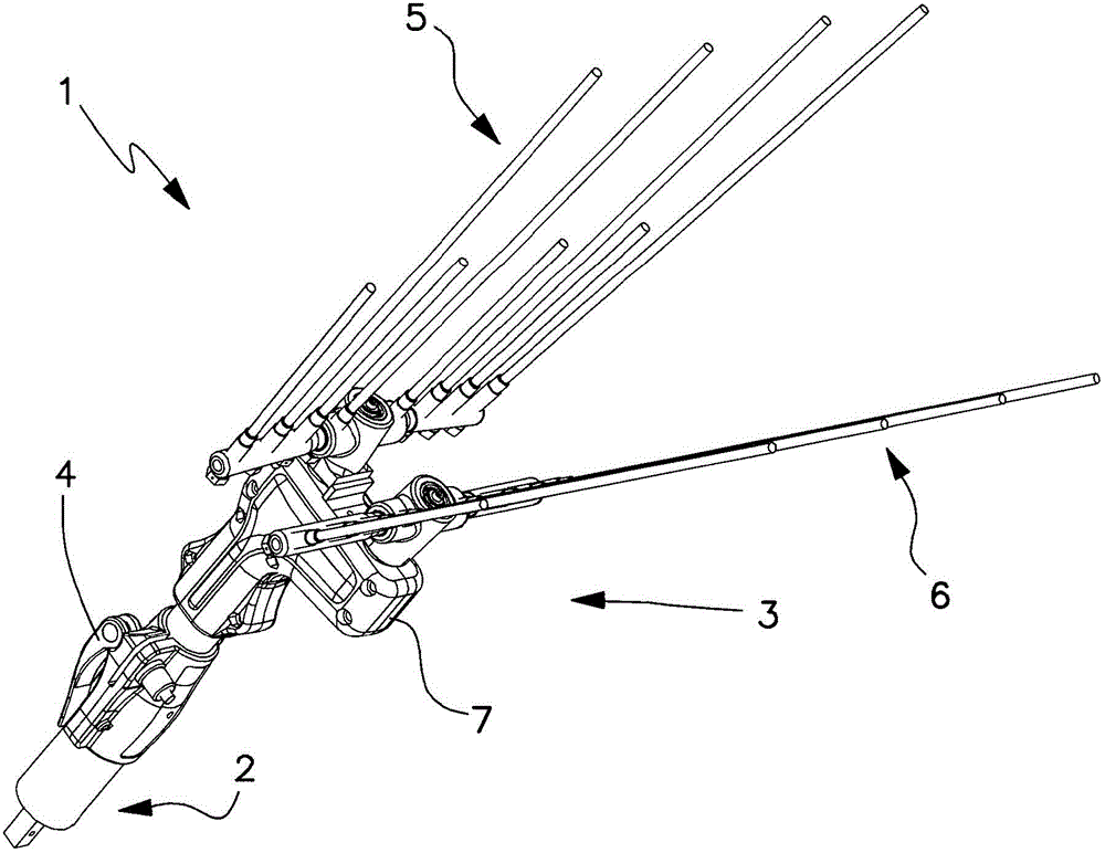 Apparatus for picking olives and the like