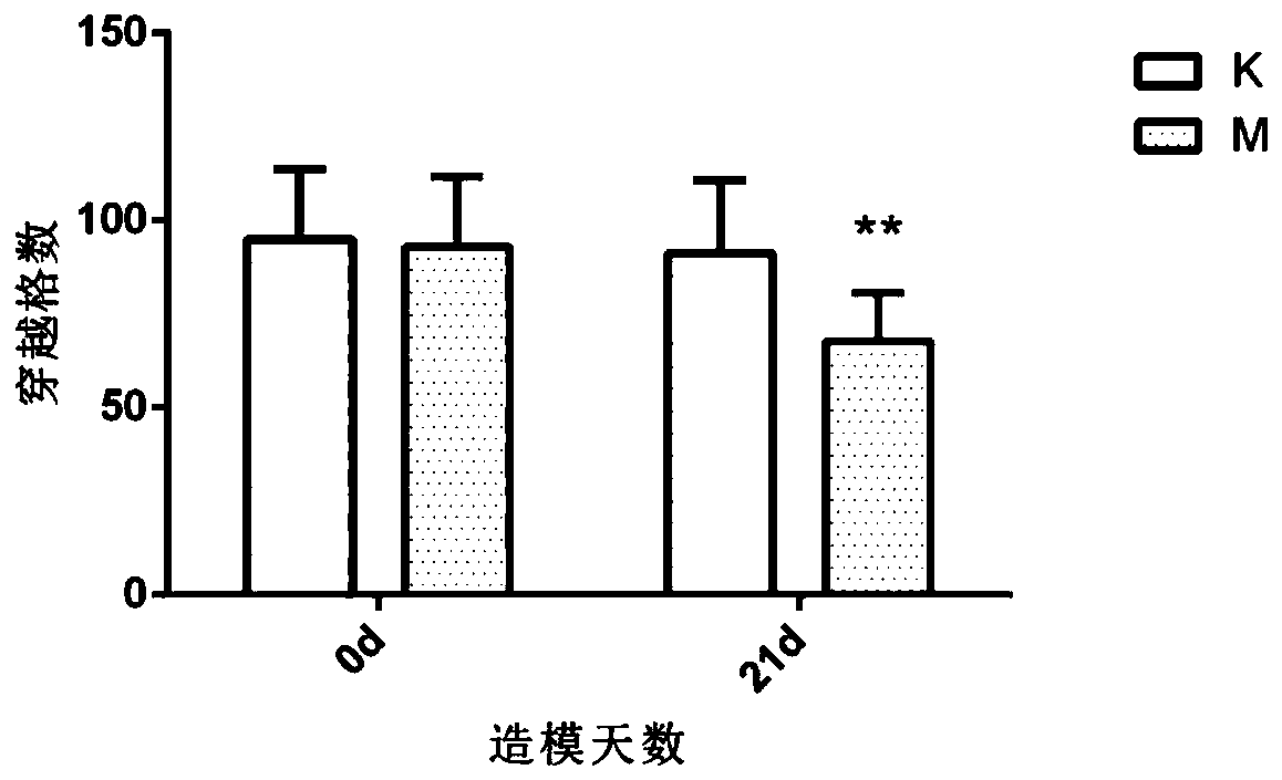 Construction and evaluation method for experimental animal model of depression with gastrointestinal motility disorder